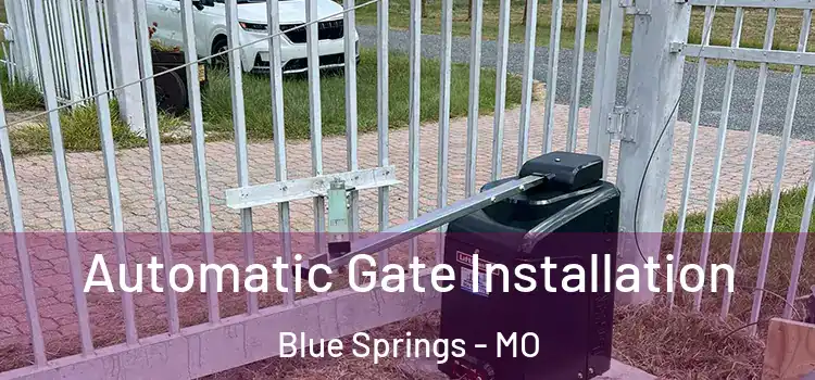  Automatic Gate Installation Blue Springs - MO