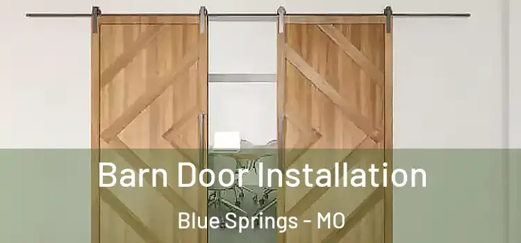 Barn Door Installation Blue Springs - MO