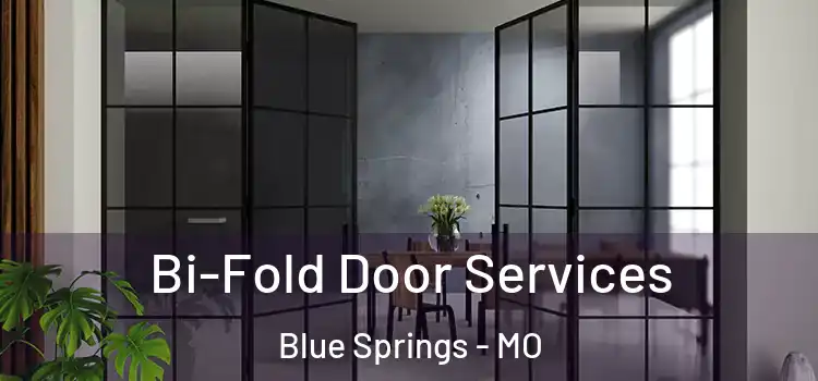 Bi-Fold Door Services Blue Springs - MO