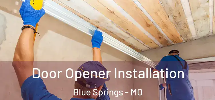 Door Opener Installation Blue Springs - MO
