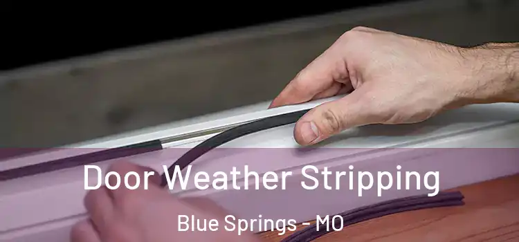 Door Weather Stripping Blue Springs - MO