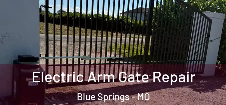 Electric Arm Gate Repair Blue Springs - MO