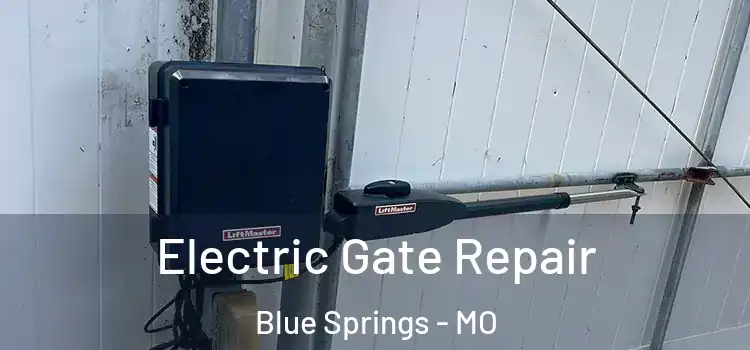 Electric Gate Repair Blue Springs - MO