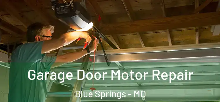  Garage Door Motor Repair Blue Springs - MO