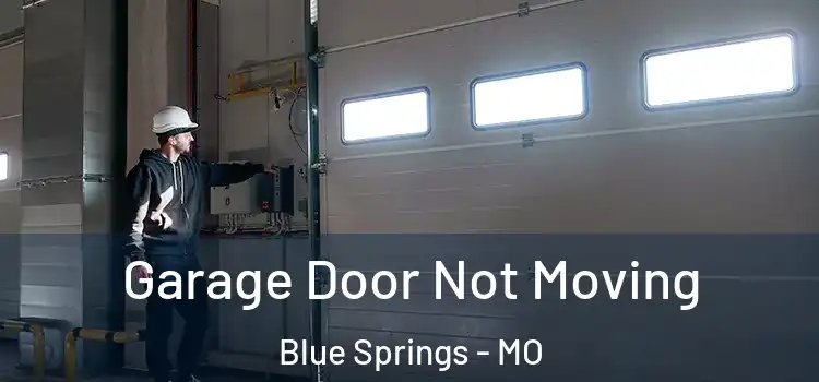  Garage Door Not Moving Blue Springs - MO