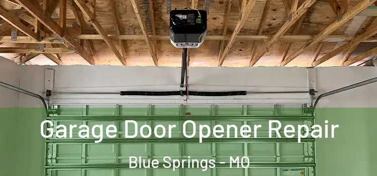  Garage Door Opener Repair Blue Springs - MO