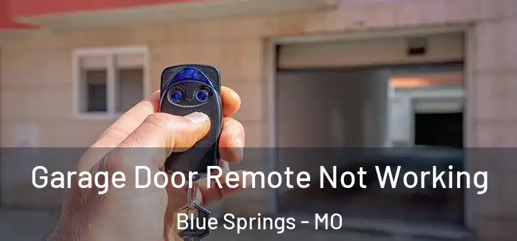  Garage Door Remote Not Working Blue Springs - MO