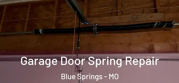  Garage Door Spring Repair Blue Springs - MO