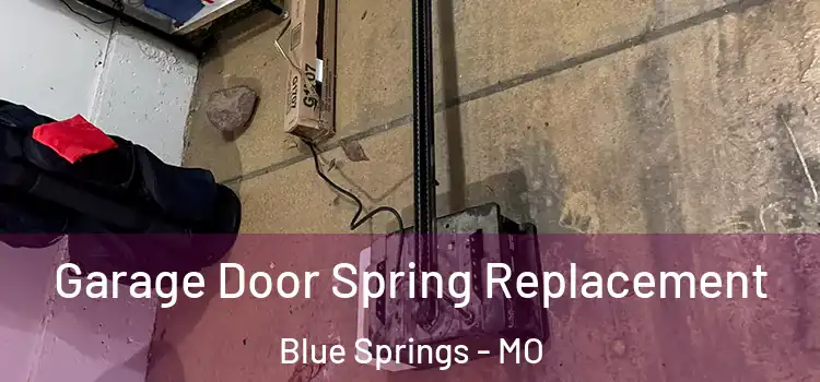  Garage Door Spring Replacement Blue Springs - MO