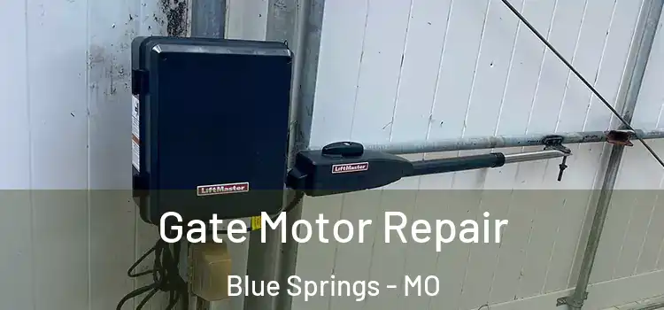 Gate Motor Repair Blue Springs - MO