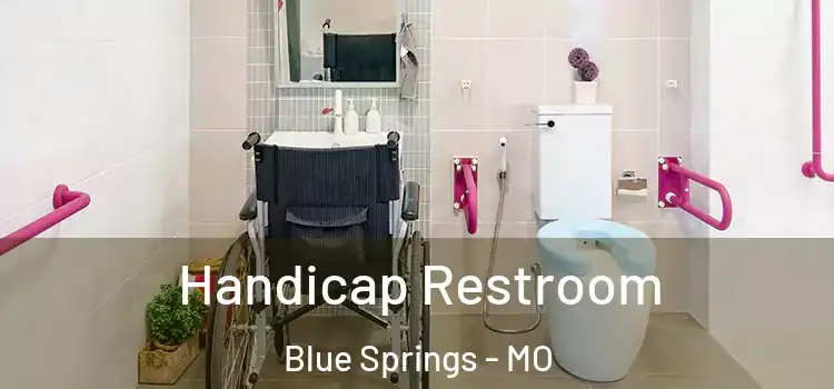  Handicap Restroom Blue Springs - MO