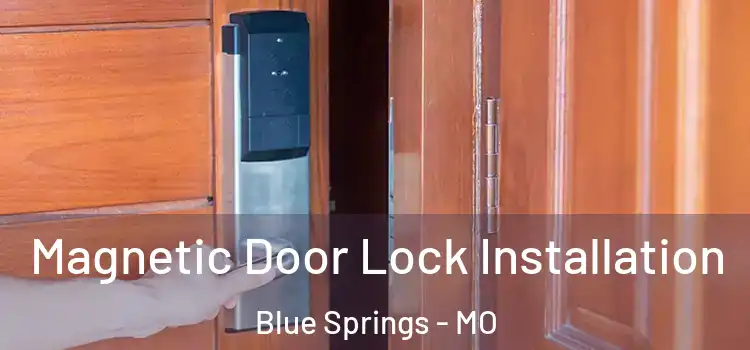  Magnetic Door Lock Installation Blue Springs - MO