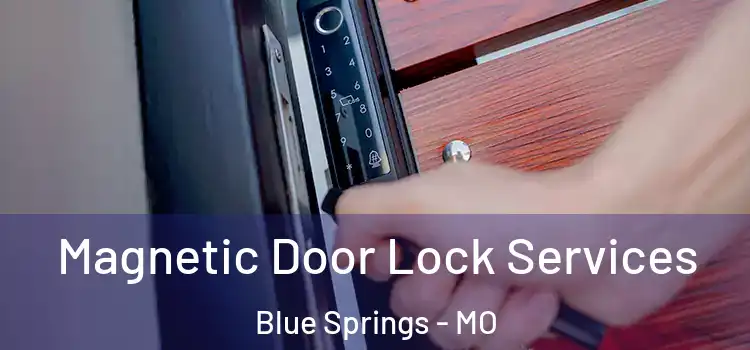 Magnetic Door Lock Services Blue Springs - MO
