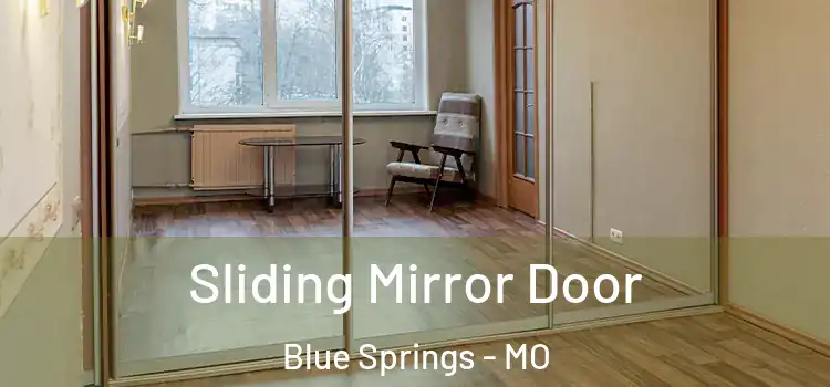  Sliding Mirror Door Blue Springs - MO