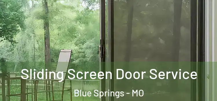 Sliding Screen Door Service Blue Springs - MO