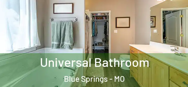  Universal Bathroom Blue Springs - MO